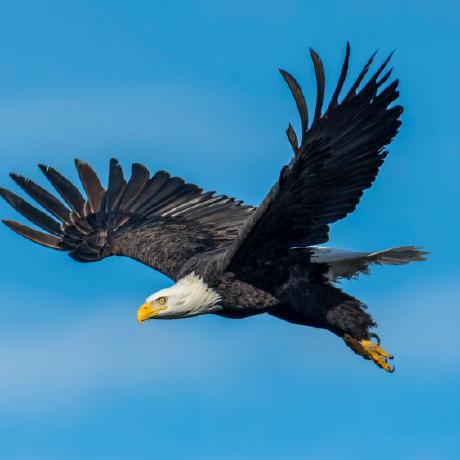 Dev David G David G Github - Premium Minimal Design Gallery - HD