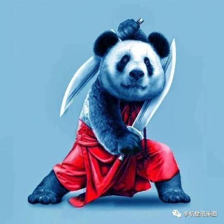 Sgy321 Ljy Github - High Resolution Colorful Photos for Desktop