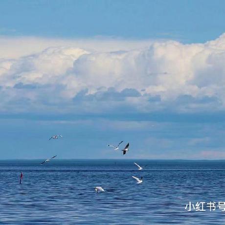 Enn Yaa Github - Ocean Texture Collection - Mobile Quality