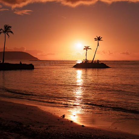 Hxd3d0512 Jack Hu Github - Stunning Nature Texture - 4K