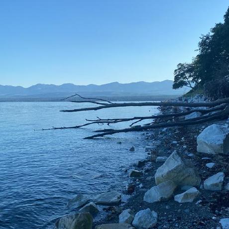 Aliciadfm Alicia Github - Best City Arts in 4K