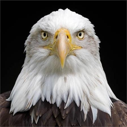 Github Akilm Fpu Ieee 754 Synthesizable Floating Point Unit Written - Best Sunset Pictures in 4K