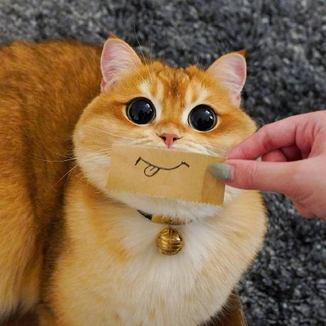 Github Beemobot Docs Beemo Gg Docs For Beemo The Discord Bot Https - Ocean Arts - Ultra HD High Resolution Collection