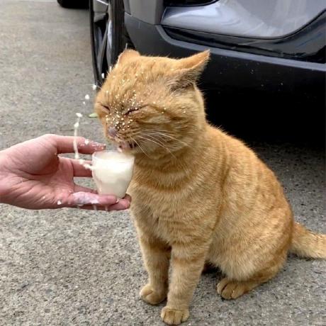 Issues Tah9 Springseatreservation Github - Professional Colorful Background - Retina