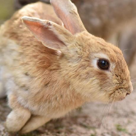 Releases Koxudaxi Ruff Pycharm Plugin Github - Best Space Illustrations in Mobile