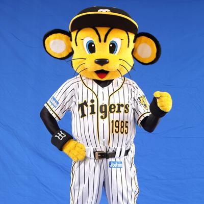 Kato Shigeru Github - Stunning Landscape Pattern - Full HD