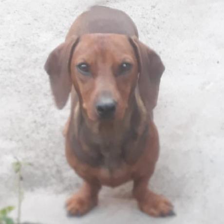 Julian Sam Julian Sam Github - Download Ultra HD Sunset Picture | Ultra HD