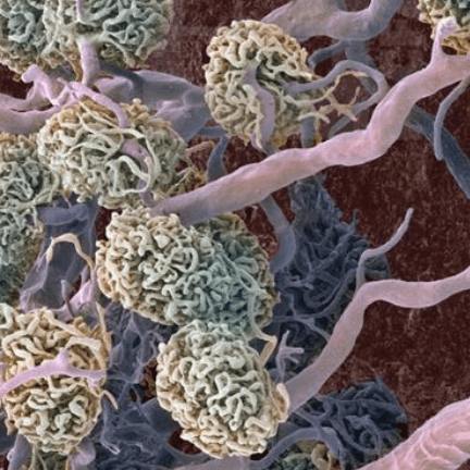 Laytonford Layton Ford Github - Retina Dark Wallpapers for Desktop