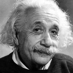 Conga Engineering Github - Retina Nature Illustrations for Desktop