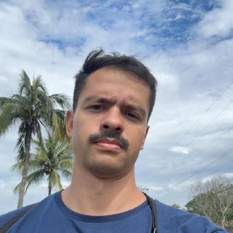 Pedrovmc Pedro Carvalho Github - Premium Landscape Design Gallery - Retina