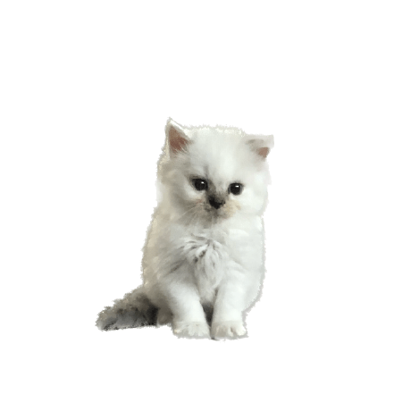 Sowon Project Github - Download Ultra HD Minimal Pattern | Desktop