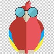 Github Springbluebay Python Application - Artistic Geometric Design - Desktop