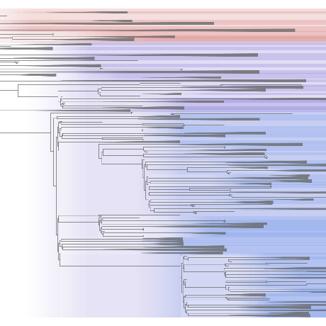 Github Kordinglab Lineageconnectomics - Download Creative City Background | Ultra HD