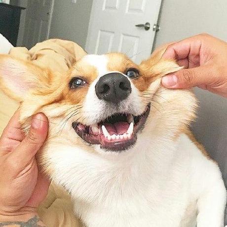 Katerina R14 Github - Geometric Background Collection - Ultra HD Quality