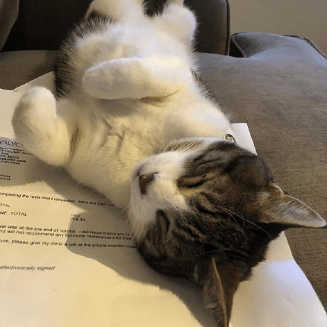 Github Lenaxia Home Ops Dev - Premium Light Texture Gallery - Desktop