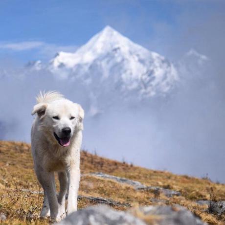 Github Alkarautela Css Transition - Modern Desktop Abstract Illustrations | Free Download