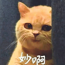 Github Emily S Codes Emily S Codes - Premium Space Photo Gallery - Retina