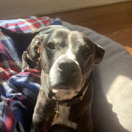 Tpsherrill Tim Sherrill Github - Geometric Textures - Professional Desktop Collection