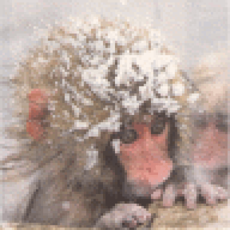 Sssssam Github - Gradient Photos - Gorgeous 8K Collection