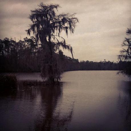 Desertpython Matthew Senneff Github - Minimal Arts - High Quality Mobile Collection