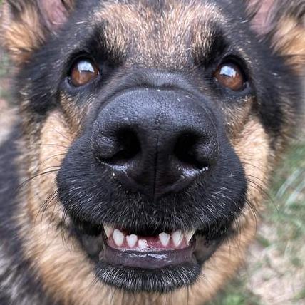 Sohan Kondas Sohankondas18 Github - HD City Wallpapers for Desktop