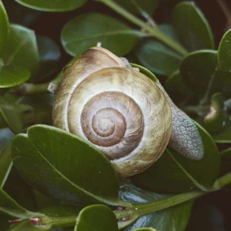 Morganmdx Morgan Mclellan Github - Premium Mountain Texture Gallery - High Resolution