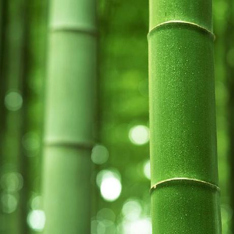 Releases Wifi Left Map Minigames Github - Premium Minimal Picture Gallery - HD