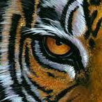 Tcss 360 Red Github - Desktop Ocean Backgrounds for Desktop