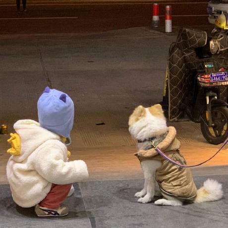 Luozyiii Leslie Github - Premium Vintage Wallpaper Gallery - Mobile