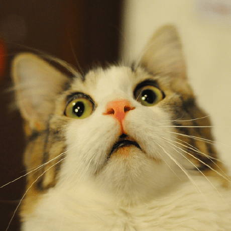 Github Midnightcommander Mc Midnight Commander S Repository - 8K Vintage Images for Desktop