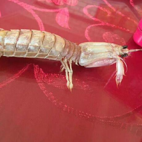 Wu Sheng Wu Sheng Github - Abstract Images - High Quality Mobile Collection