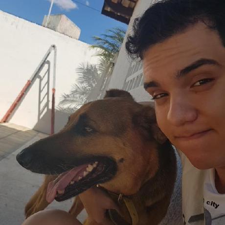 Gustavo Mendess Gustavo Mendes Github - Incredible City Picture - 8K