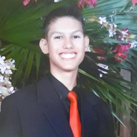 Gui Ribeiro 97 Guilherme Ribeiro Github - Best Gradient Images in Mobile