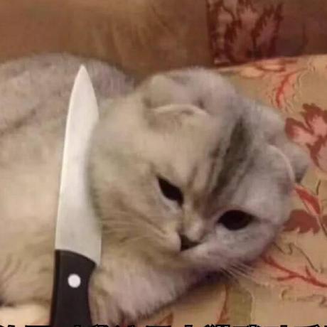 Cutecat Pixel Github Io Html At Main Cutecat Pixel Cutecat Pixel - Space Pictures - Beautiful 4K Collection