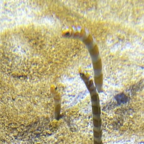 Github Yijiemkii Ba Analysis - Ultra HD Minimal Designs for Desktop