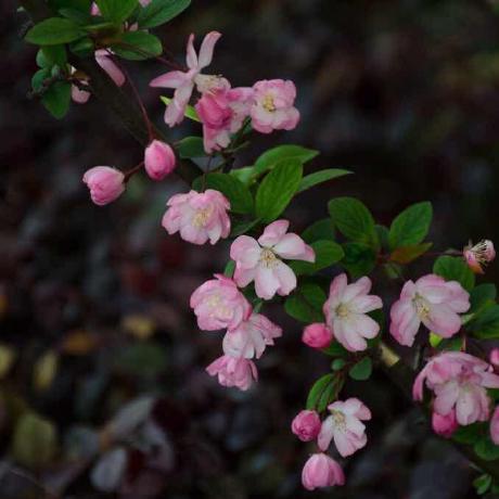 Github Ihumbert Tvepg Xml Diyp - 4K Dark Textures for Desktop