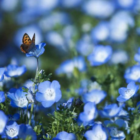 Leonid On Git Hub Github - Mobile Vintage Images for Desktop