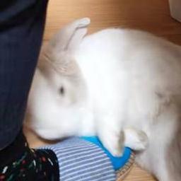 Github Ppaanngggg Fhog - Desktop Abstract Patterns for Desktop