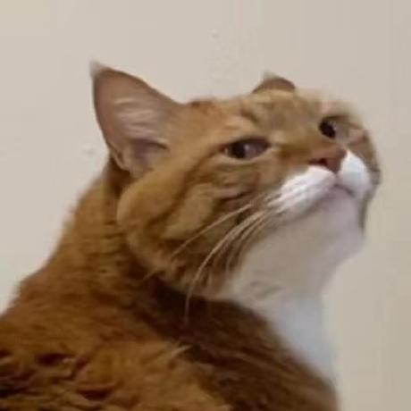 Dongju3079 Catslave Github - Premium Landscape Pattern - HD