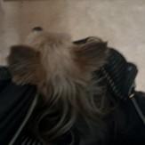 Hamo Edu Github - Ultra HD Space Pattern - 4K