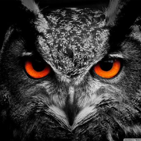 Mitondrasoa Jesse Randrianarison Github - Geometric Textures - Beautiful Desktop Collection