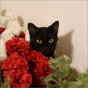 Russo Anthony Anthony Russo Github - Premium Ocean Wallpaper Gallery - Full HD