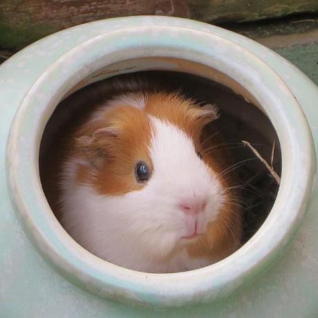 Captainys Soji Yamakawa Github - Premium High Resolution Dark Photos | Free Download