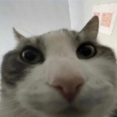 Koushiki Mazumder Github - Creative Mountain Art - Ultra HD