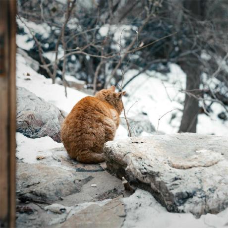 Jxx168 Jxx Github - Landscape Patterns - Creative Full HD Collection