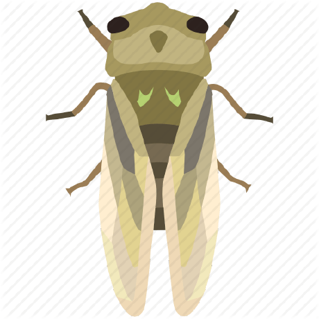 Stop Github - Premium Minimal Photo Gallery - Desktop