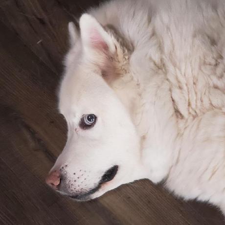 Github Gitcrediantials Demon This Is Best - Ultra HD Ultra HD Space Designs | Free Download