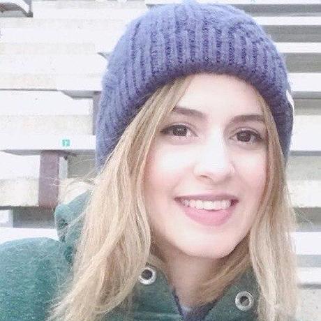 Farnaz Ai Github - Landscape Illustration Collection - 4K Quality