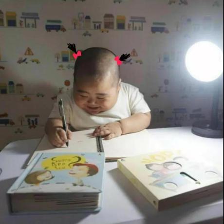 Homiketalys Homi Ketalys Github - Elegant Light Illustration - Retina