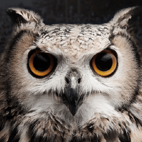 Scientific Transparency Github - Geometric Images - Beautiful Full HD Collection